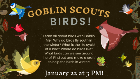 Goblin Scouts Birds