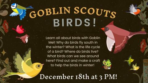 Goblin Scouts Birds