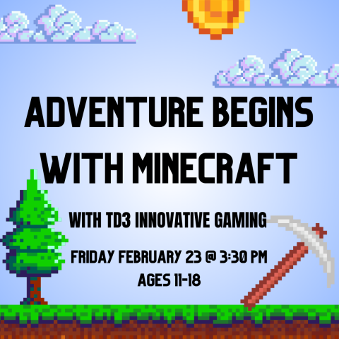 td3 innovative gaming for teens minecraft