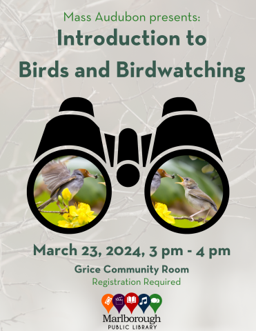 A flyer featuring a pair of binoculars through which you see two birds