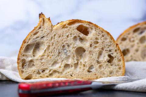 Sourdough Starter with Sourdough Brandon