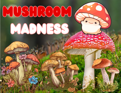 Mushroom Madness