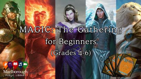 MTG - Beginner