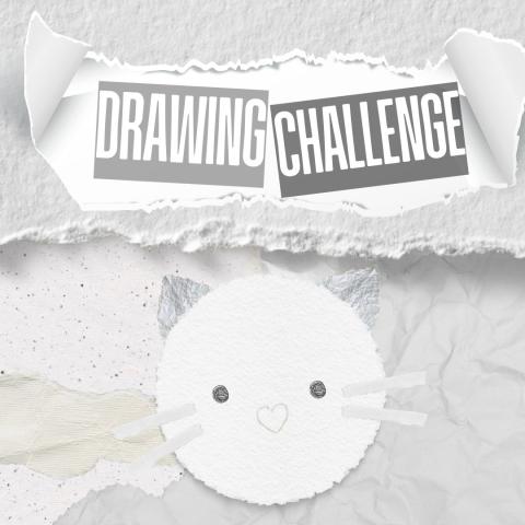 DRAWING CHALLENGE