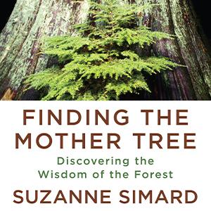 Cover art for the book Finding the Mother Tree by Suzanne Simard