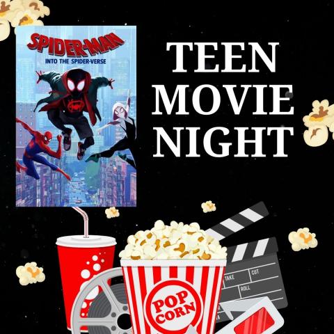 teen movie night into the spiderverse