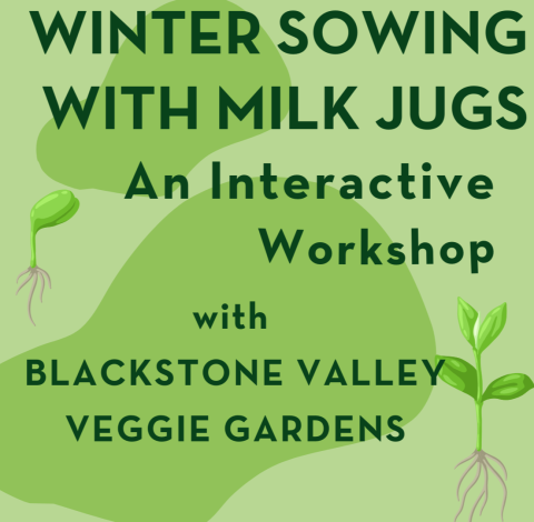 Winter Sowing with Milk Jugs -- an interactive workshop with Blackstone Valley Veggie Gardens will be offered at the Marlborough Public Library on Saturday December 21. All participants get a free mini-greenhouse they can leave outside and it will germinate in the spring, in time for transplanting in the garden! 