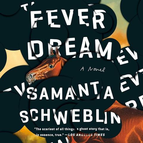 Cover art for the book Fever Dream by Samanta Schweblin