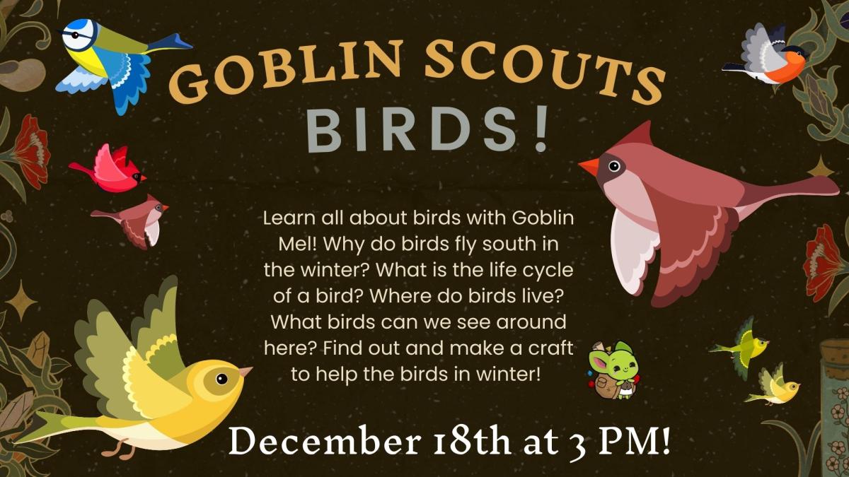 Goblin Scouts Birds