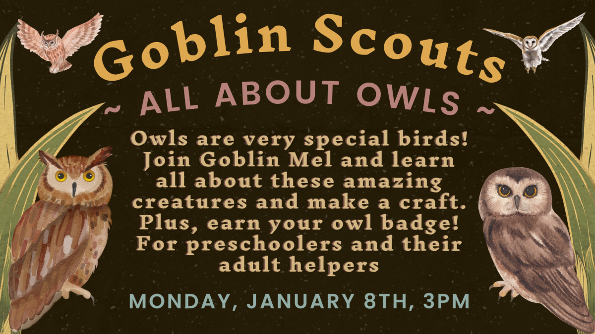 goblin scouts all about owls