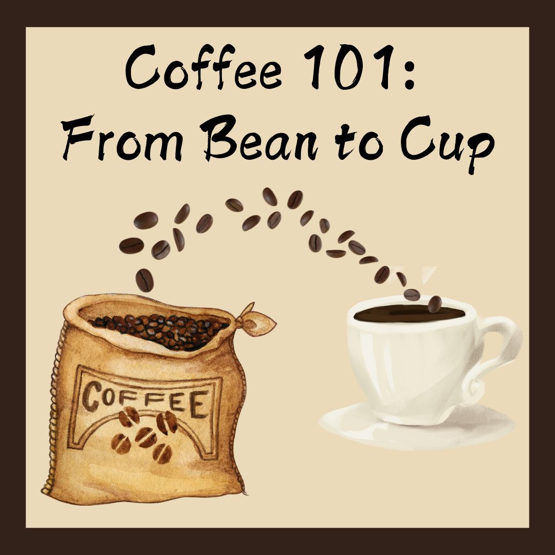 An illustration of coffee beans going from a bag to a cup of coffee.