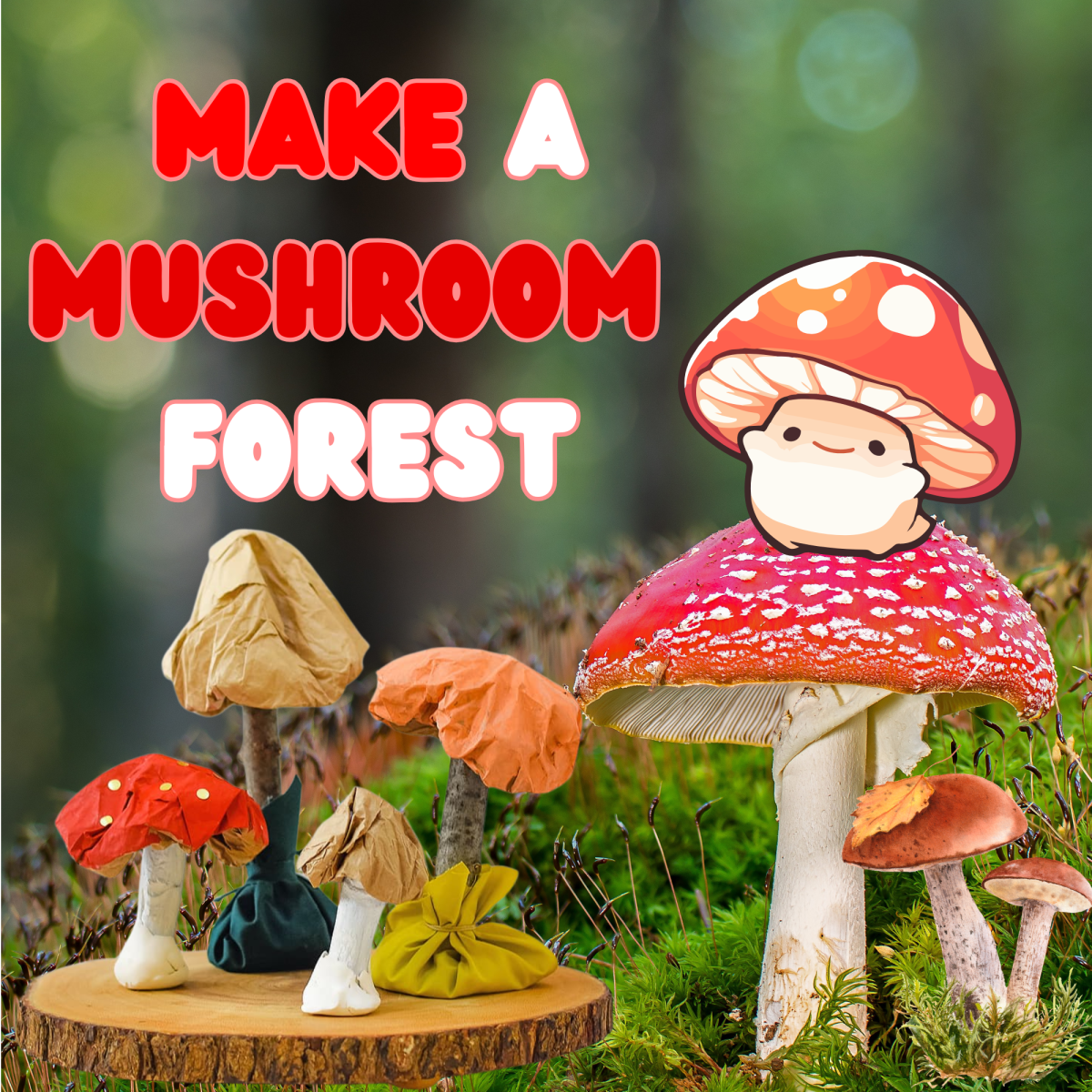 Mushroom Forest