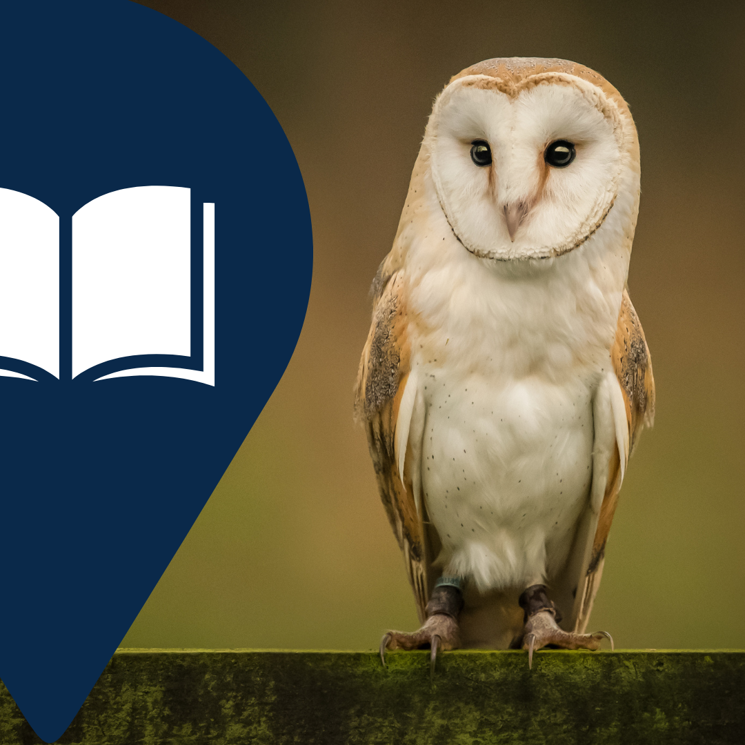 Climate Cafe: Owl Hour